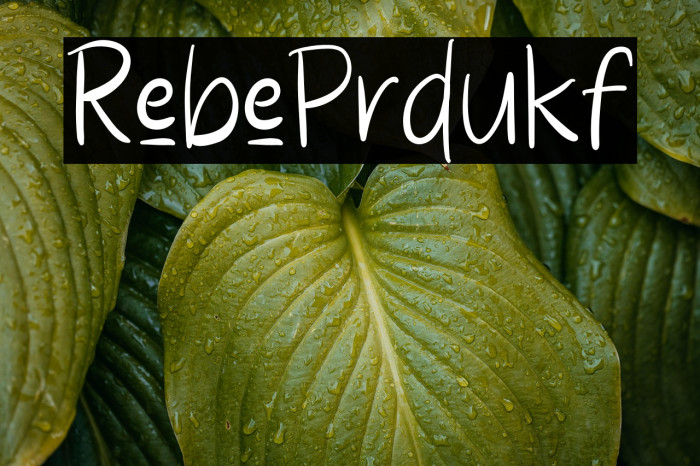 Rebel Produktif Example 3