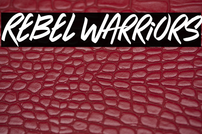 Rebel Warriors Example 2