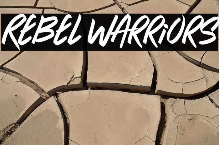 Rebel Warriors Example 3