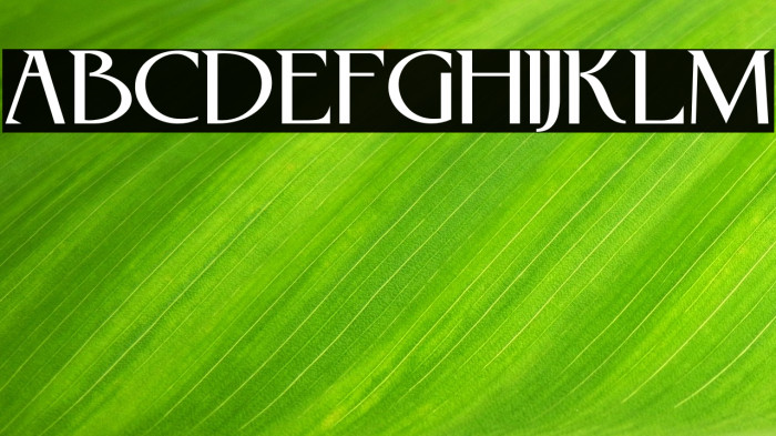 RebelRedux Example 2