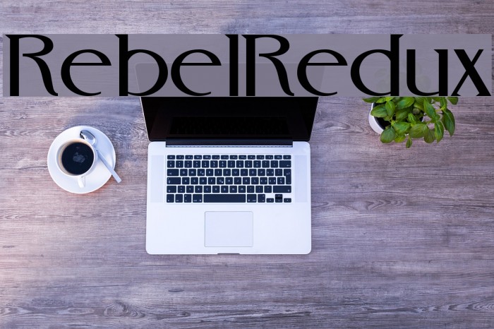 RebelRedux Example 2