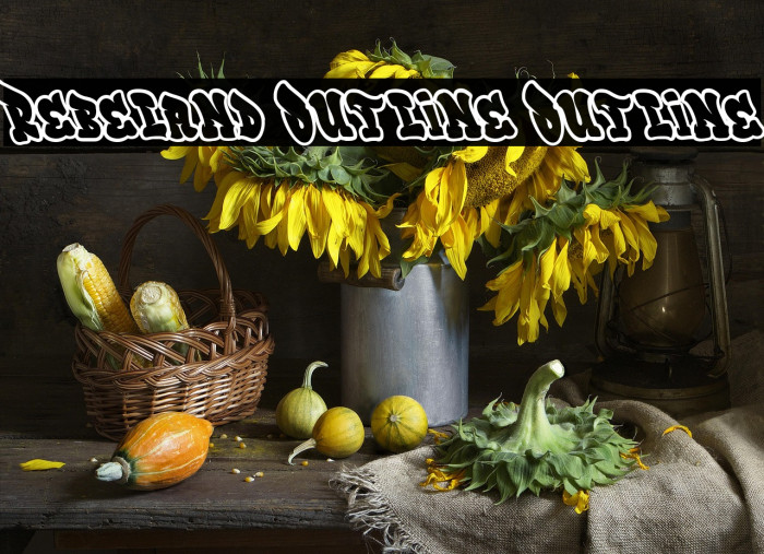 Rebeland Outline Outline Example 1