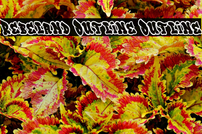 Rebeland Outline Outline Example 2