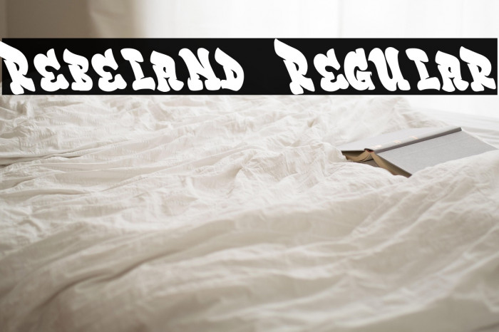 Rebeland  Regular Example 2