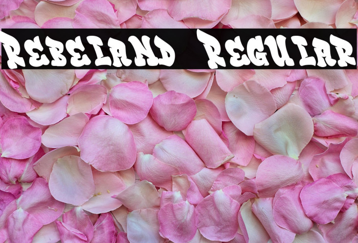 Rebeland  Regular Example 3