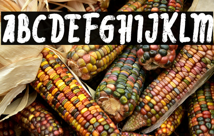 Rebelia FREE Example 1