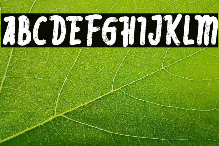 RebeliaFREE Example 1