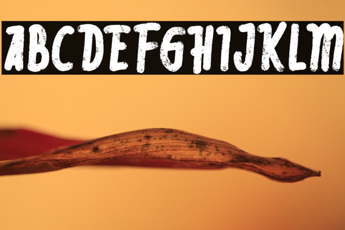 RebeliaFREE Example 3