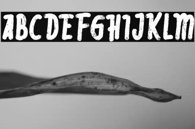 RebeliaFREE Font examples