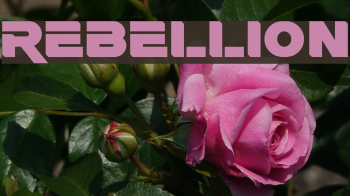 Rebellion Schriftart examples