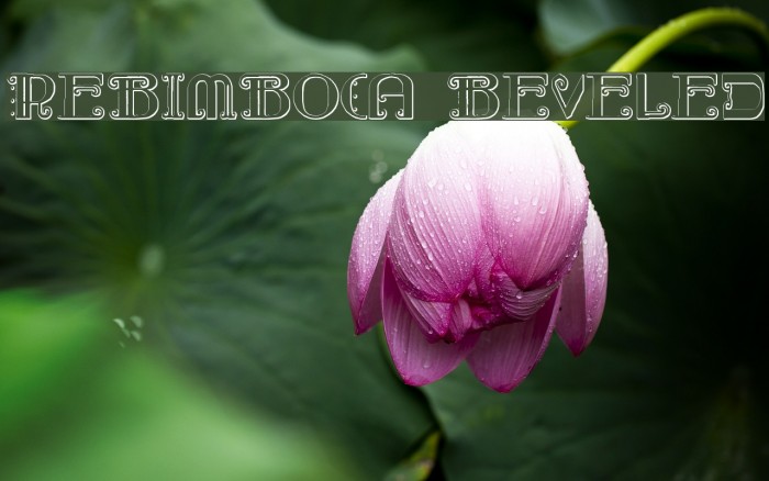 Rebimboca Beveled Font examples
