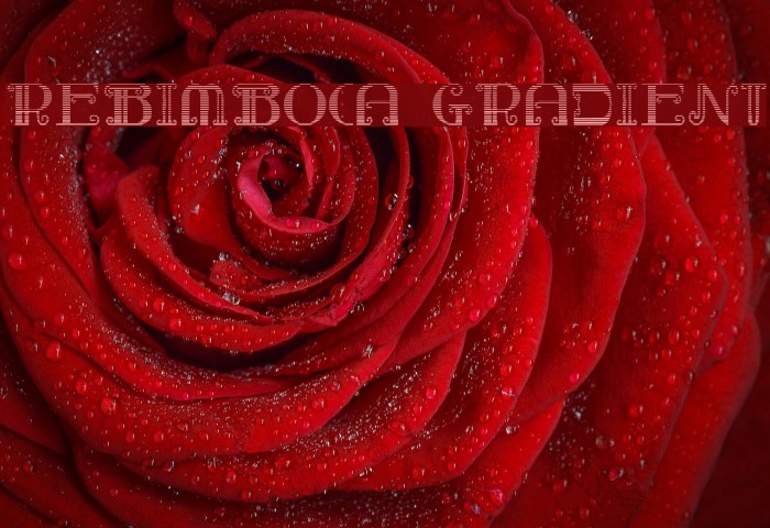 Rebimboca Gradient Font examples