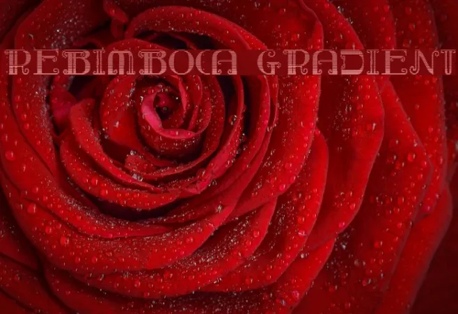 Rebimboca Gradient Example 1