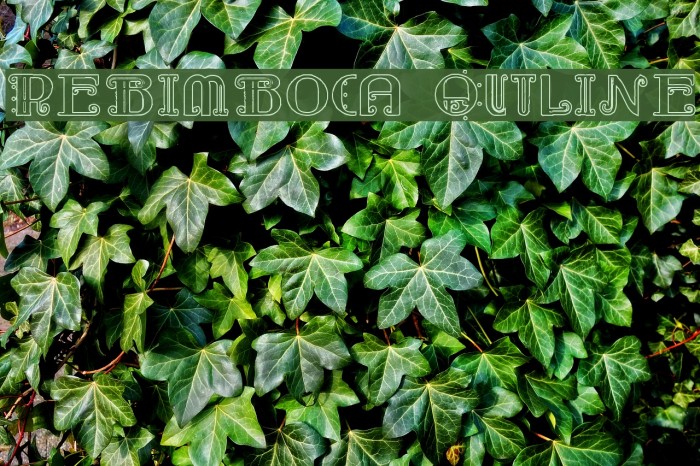 Rebimboca Outline Font examples