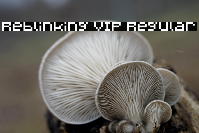 Reblinking VIP Regular Example 3