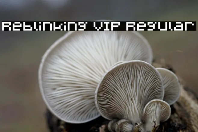 Reblinking VIP Regular Example 3