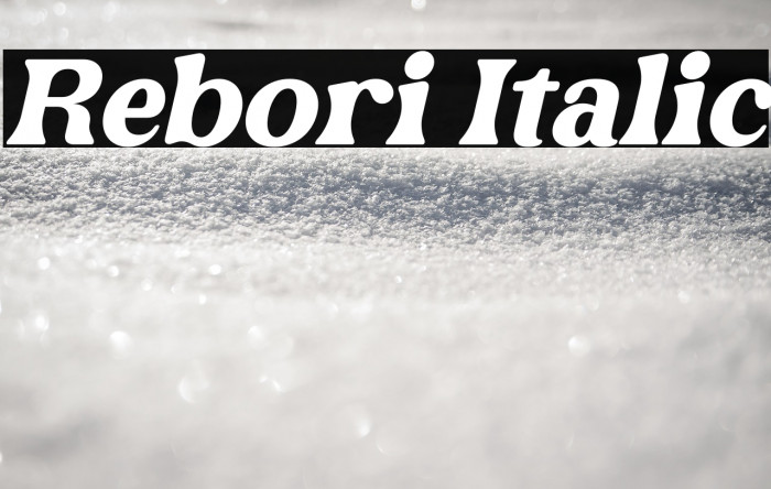 Rebori Italic Example 1