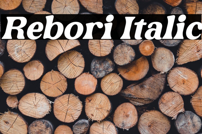 Rebori Italic Example 2