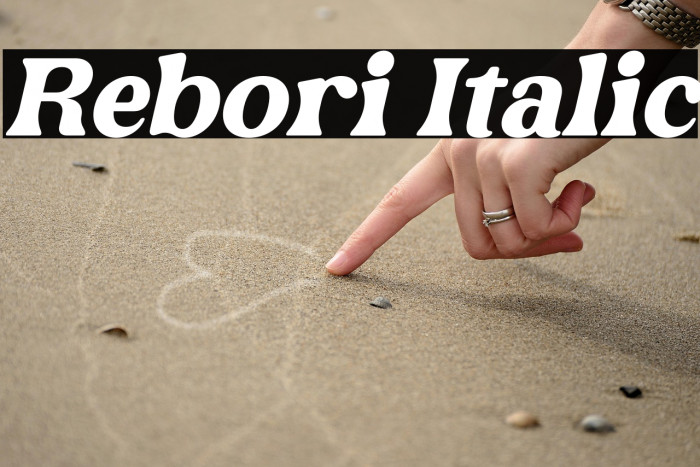 Rebori Italic Example 3
