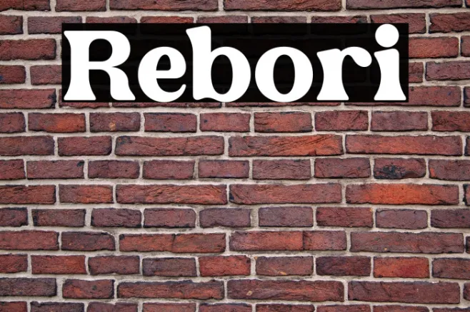 Rebori Example 2