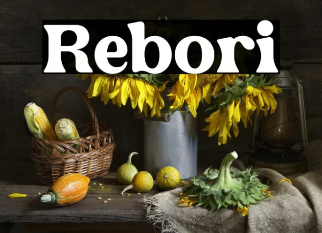 Rebori Example 3