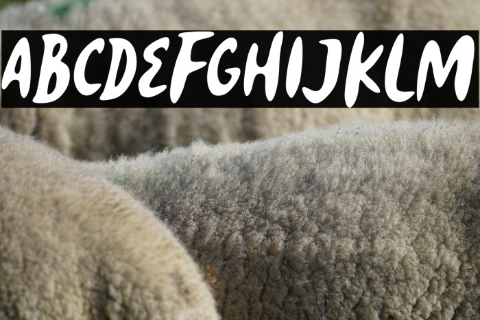 Reborn Revolt Example 1