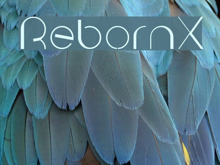 RebornX Font examples