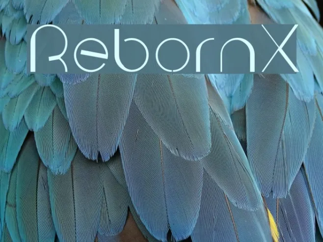 RebornX Example 2