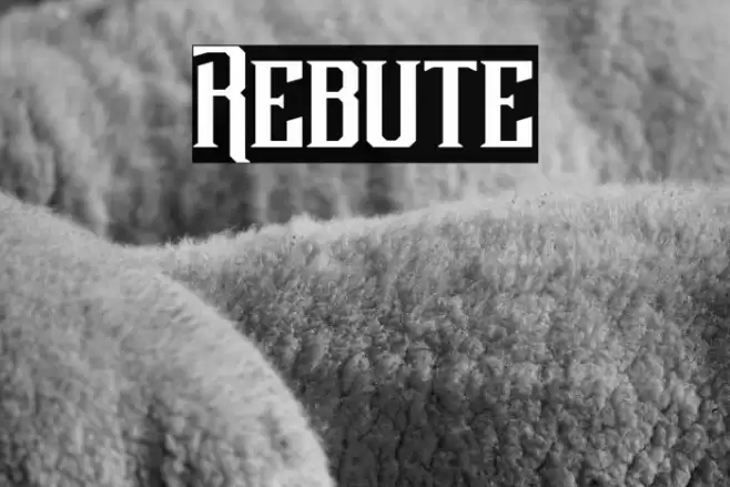 Rebute Font examples