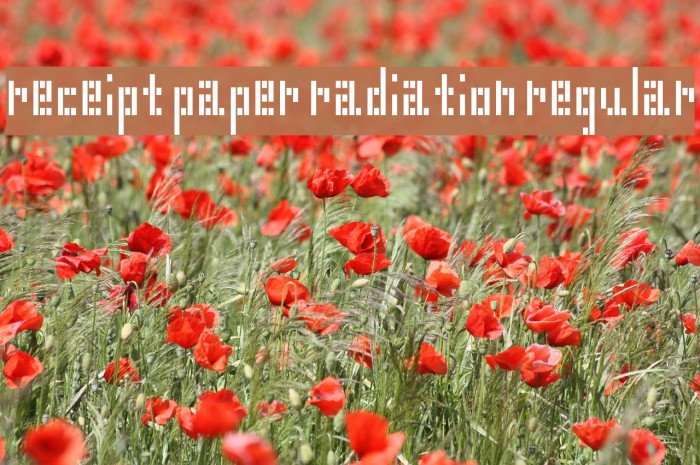 Receipt Paper Radiation Regular Font examples