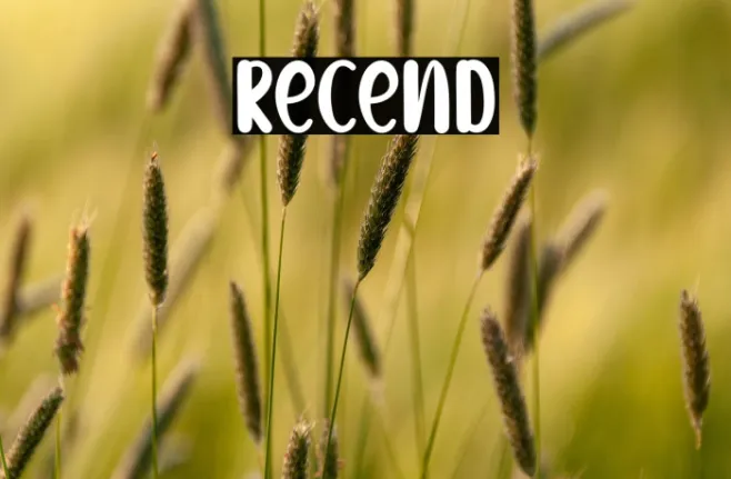 Recend Example 1