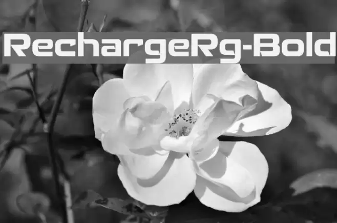 RechargeRg-Bold Font examples