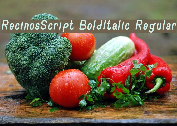 RecinosScript BoldItalic Regular Font examples