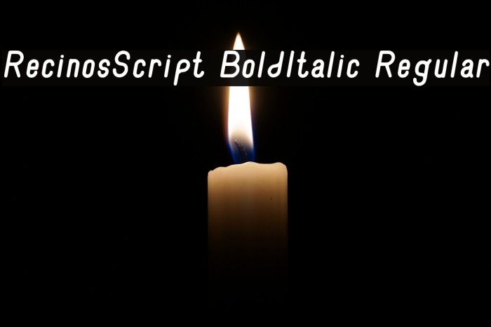 RecinosScript BoldItalic Regular Font examples