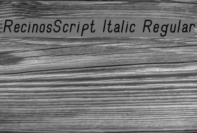 RecinosScript Italic Regular Font examples