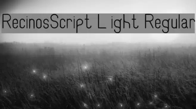 RecinosScript Light Regular Font examples