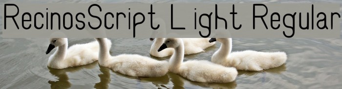RecinosScript Light Regular Font examples