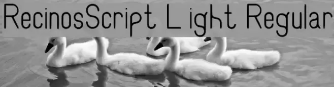 RecinosScript Light Regular Font examples