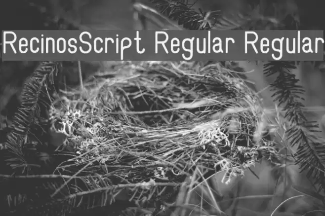 RecinosScript Regular Regular Font examples