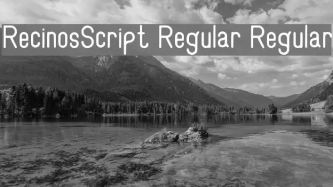 RecinosScript Regular Regular Font examples
