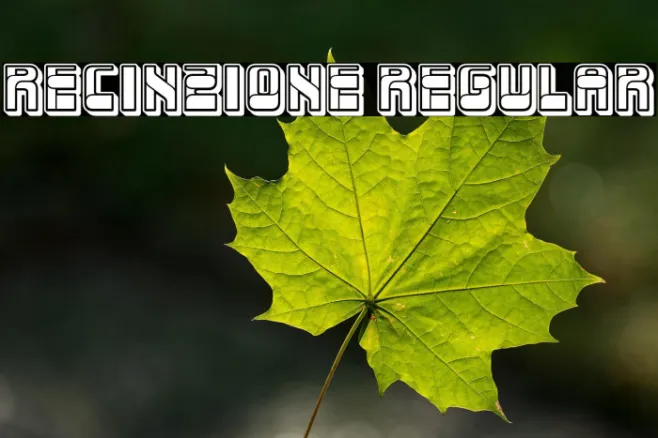 Recinzione Regular Example 2