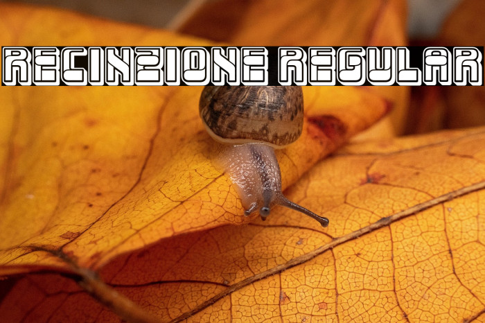 Recinzione Regular Example 3