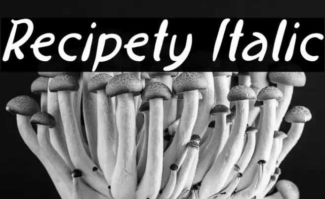 Recipety Italic Font examples