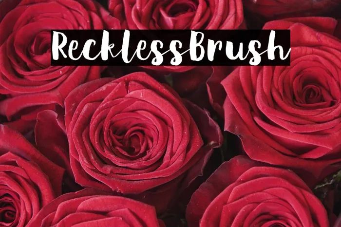 Reckless Brush Example 1
