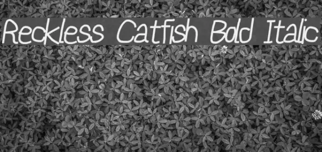 Reckless Catfish Bold Italic Font examples