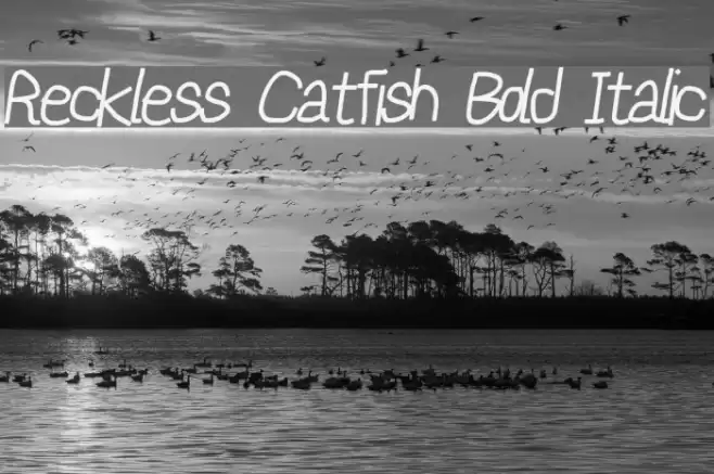 Reckless Catfish Bold Italic Font examples