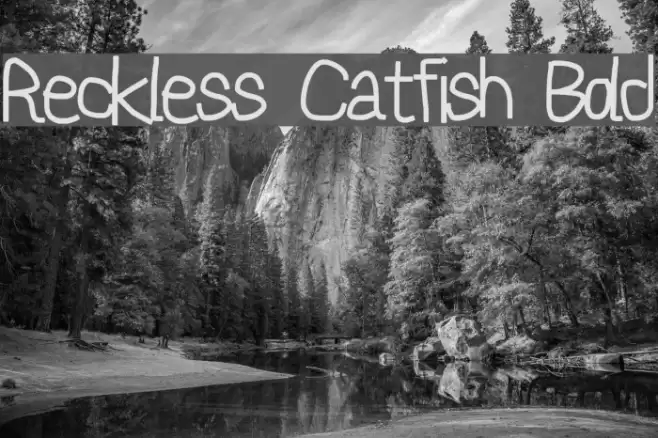 Reckless Catfish Bold Font examples