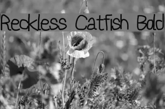 Reckless Catfish Bold Font examples