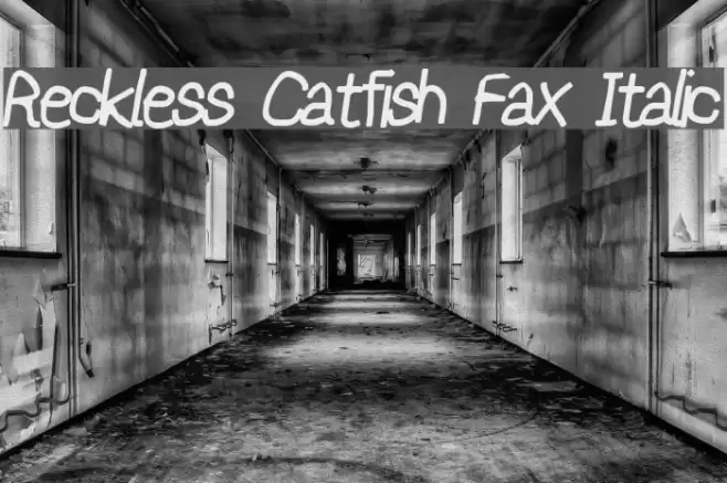 Reckless Catfish Fax Italic Schriftart examples