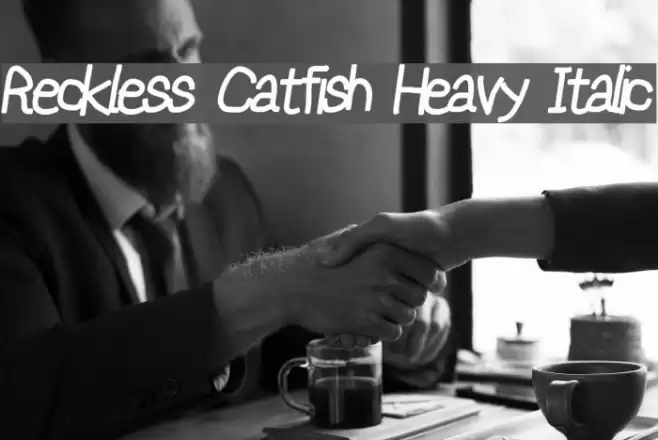 Reckless Catfish Heavy Italic Schriftart examples